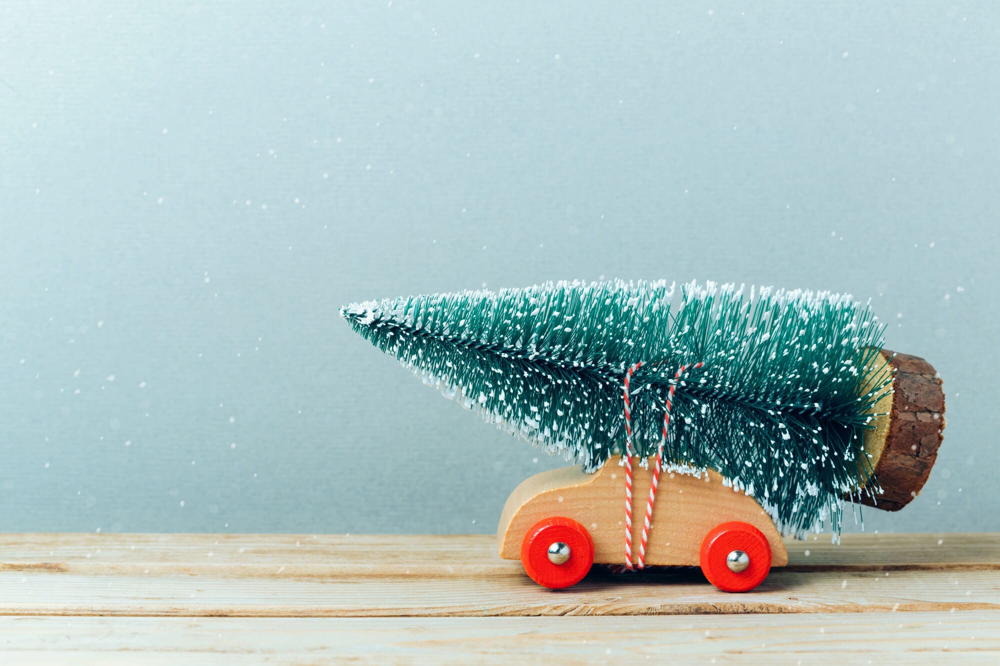 5 Ways To Re-Use Your Christmas Tree After The Holidays