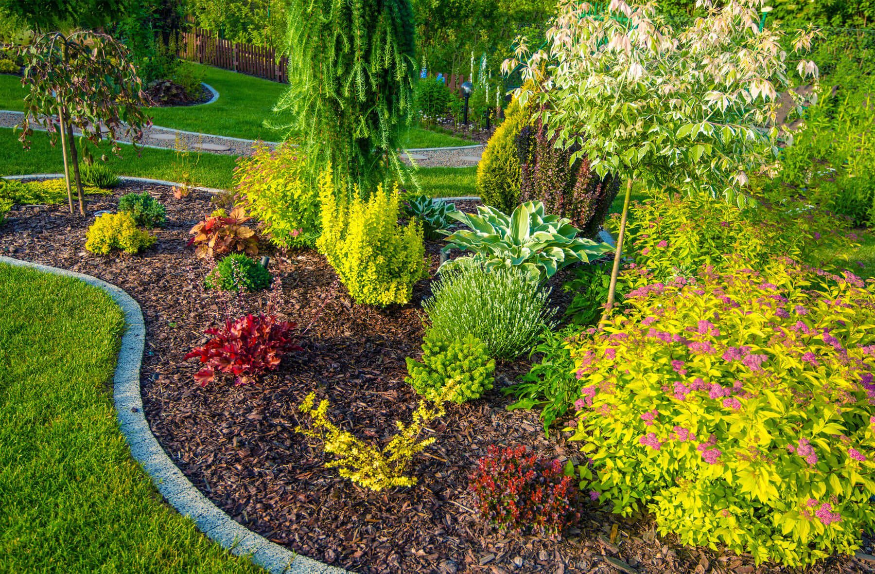 A beautiful flower bed