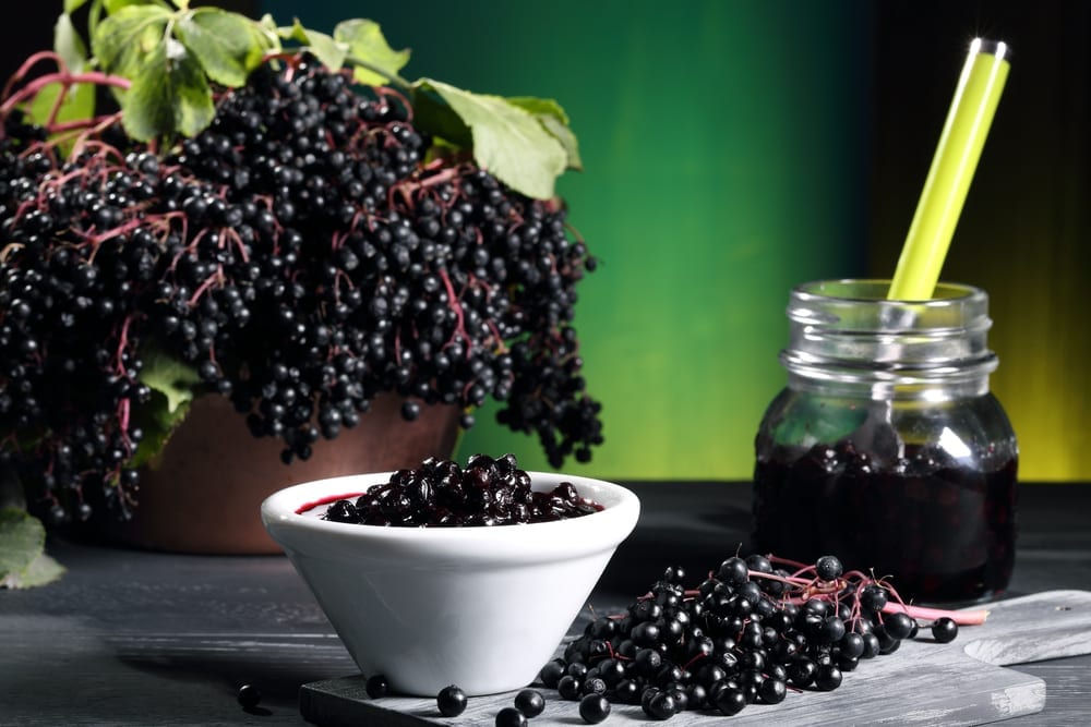 Elderberries displayed in a bowl.