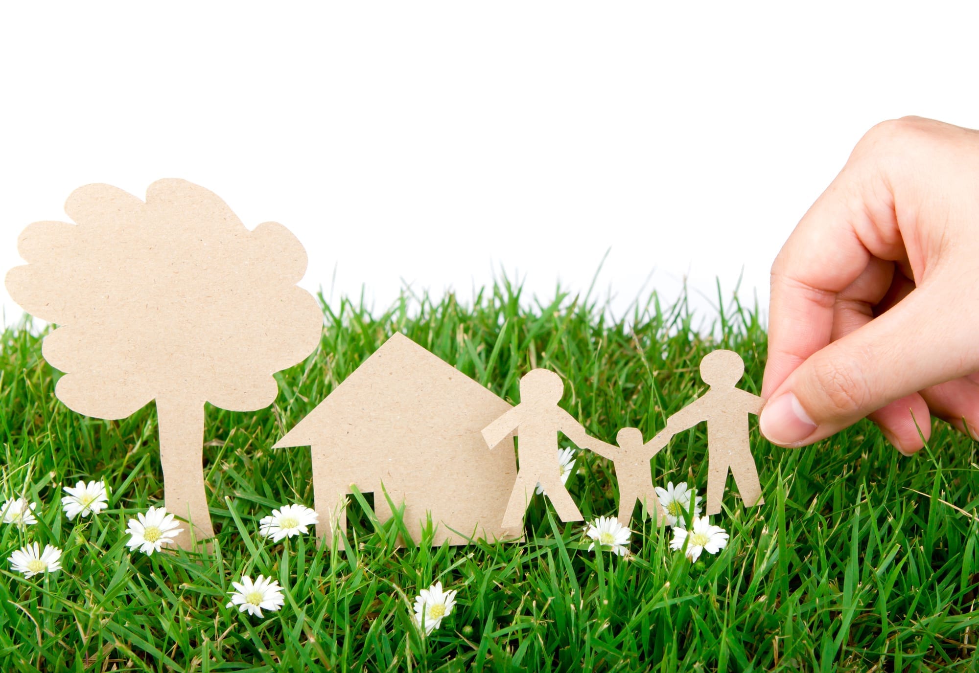 Environmentally friendly home
