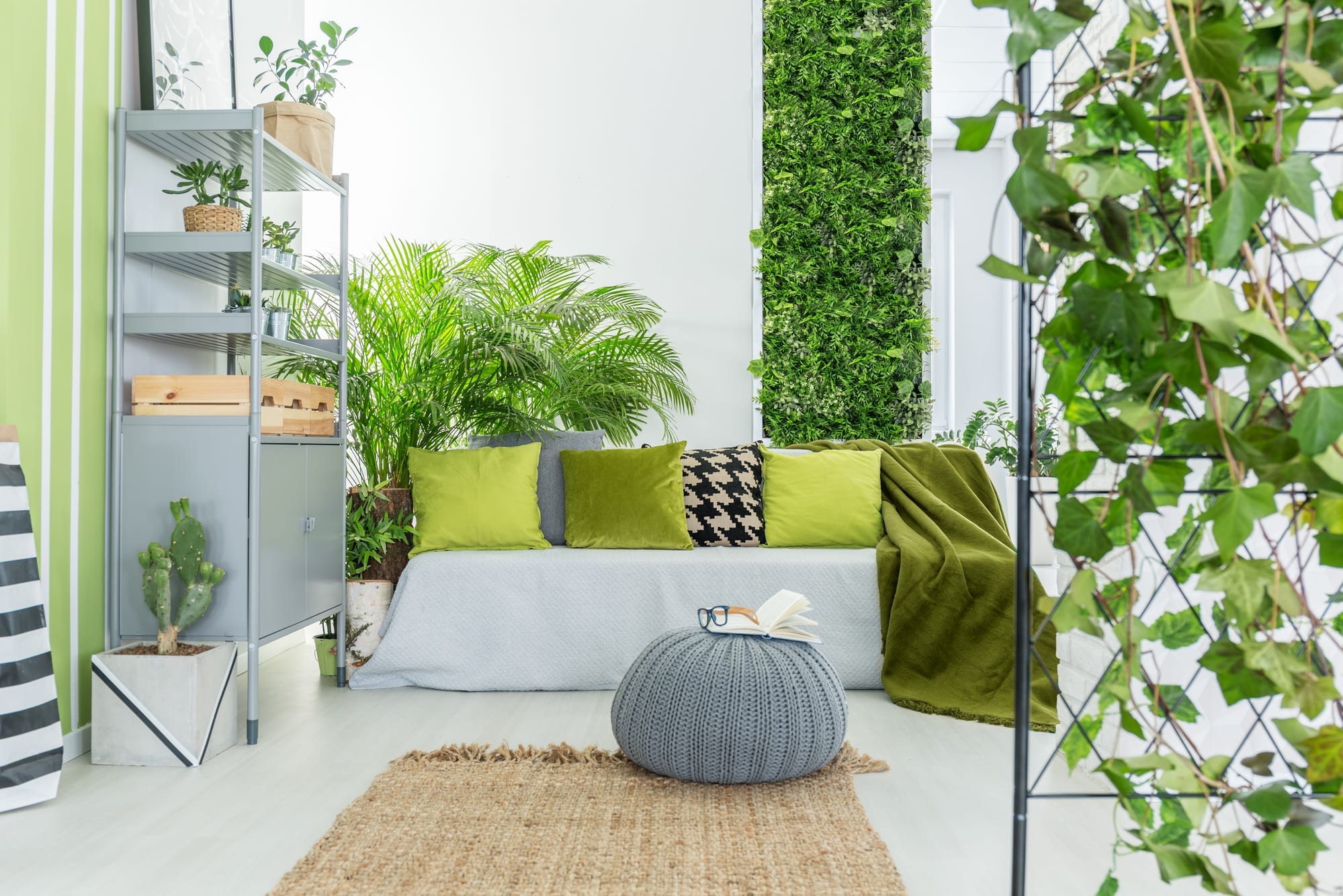 A home with many indoor plants