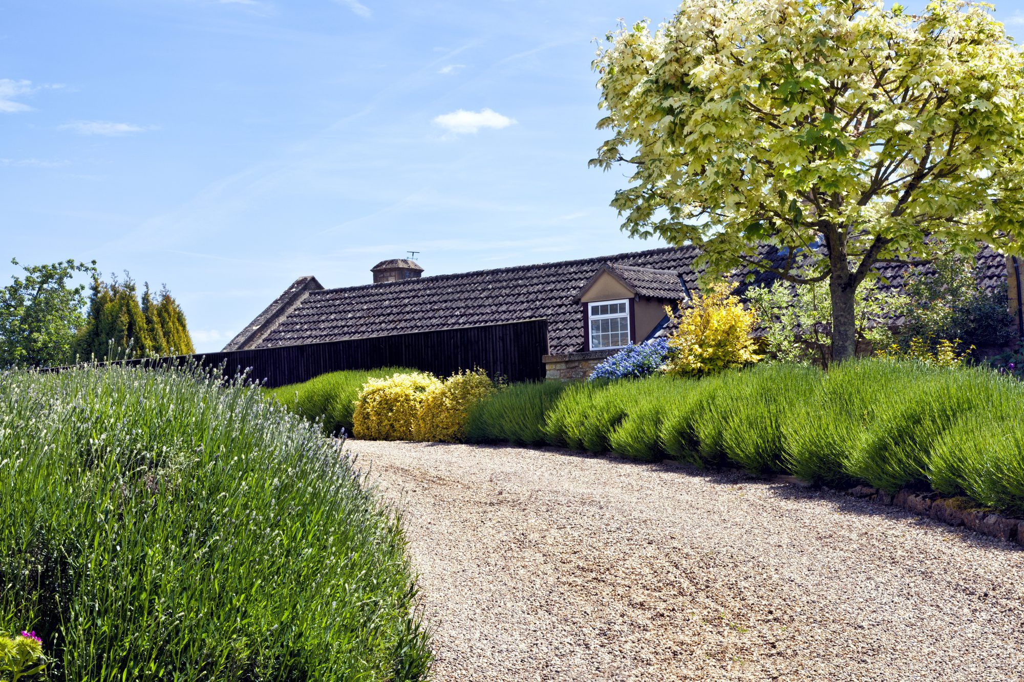 Gravel driveway in front of a house